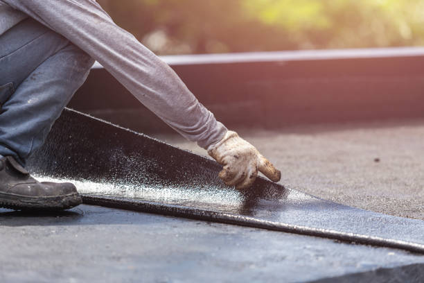 Professional Interior Drainage System technician working in Coral, MI